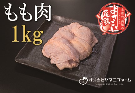 よさこい尾鶏 もも肉1kg