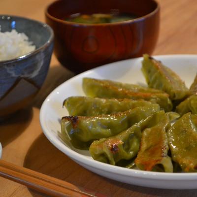 ふるさと納税 秋田市 年間100万個完売!餃子の餃天の