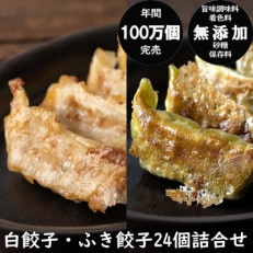 年間100万個完売!餃子の餃天の