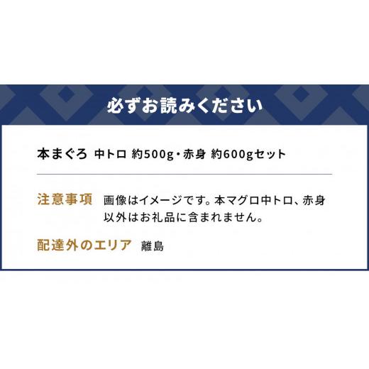 ふるさと納税 大分県 津久見市 本マグロ まぐろ 中トロ 約500g・赤身 約600gセット 鮪 海鮮丼 刺し身 刺身 盛り合わせ 冷凍 魚の刺身 大分県産 九州産 津久見…