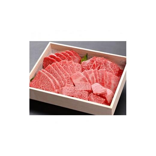 ふるさと納税 兵庫県 新温泉町 但馬牛焼肉セット＜500g＞