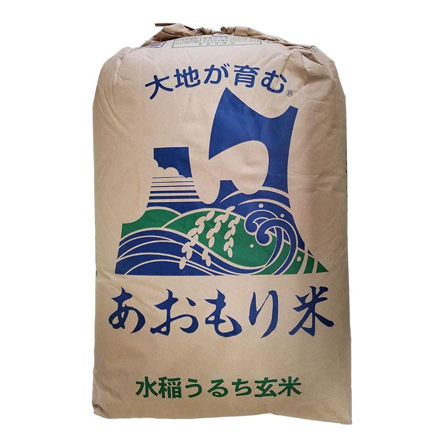 青天の霹靂 玄米 30kg 令和5年産　青森県産　一等米