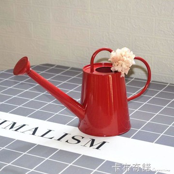 鐵皮噴壺澆花水壺長嘴蓬壺家用養花兒童灑水壺灑水頭大容量  99購物節
