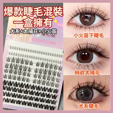【隔日到貨】萌睫尚品 爆款上下睫毛混裝 犬系假睫毛 太陽花假睫毛 小火苗下睫毛 自然濃密假睫毛 單簇分段假睫毛 新手睫毛