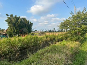 大園和平段農地含農業設施許可 可建357｜桃園市大園區和平段