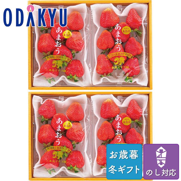 お歳暮 送料無料 2023 いちご フルーツ 果物 福岡 糸島いちご園 あまおう 詰め合わせ ※沖縄・離島へは届不可