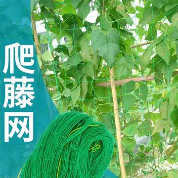 種植爬藤網園藝網爬藤架網繩家用葡萄架加強尼龍網加強植物攀爬架
