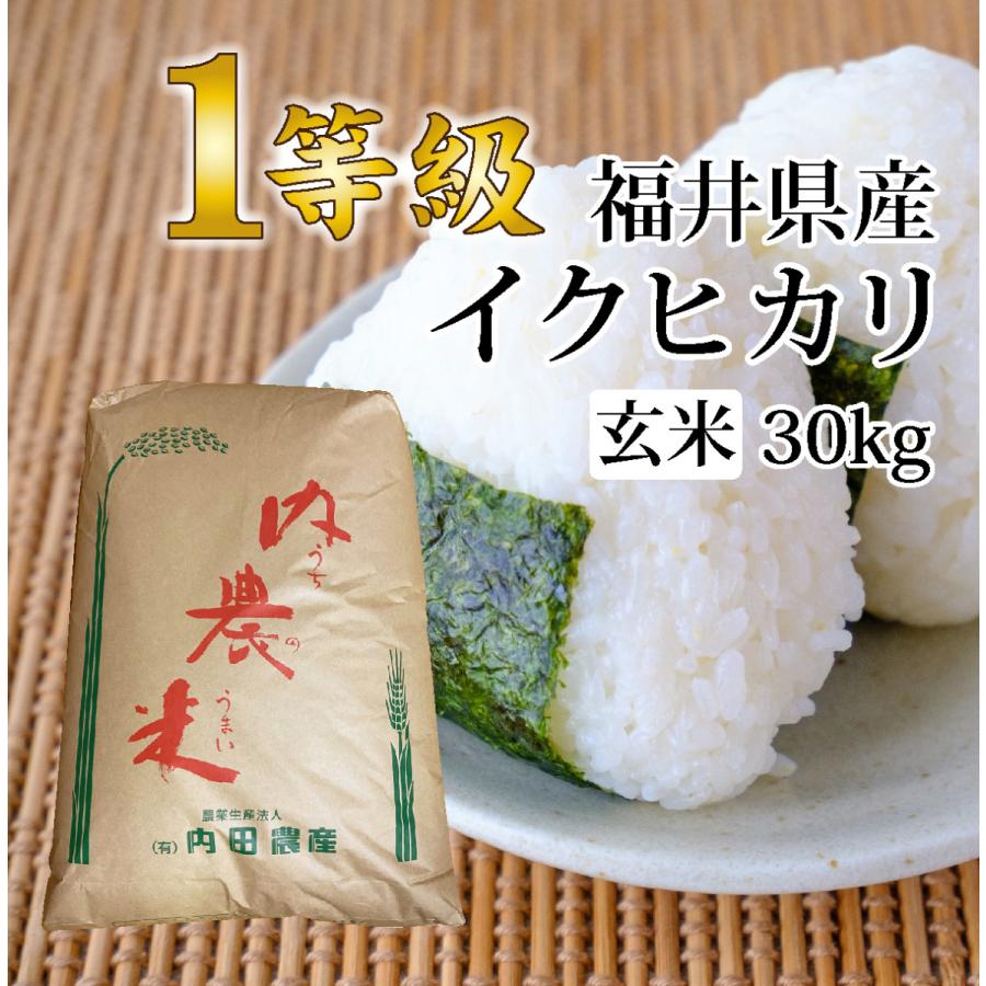 イクヒカリ 玄米 30キロ 送料無料 令和5年度産 新米 1等級 福井県産 令和 おいしいお米 ふるさとの味