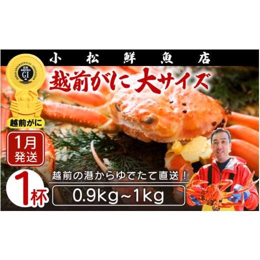 ふるさと納税 福井県 越前町 越前がに本場の越前町からお届け！ 越前がに 浜茹で 大サイズ（生で0.9〜1kg） × 1杯【福井県 越前町 雄 ズワイ…