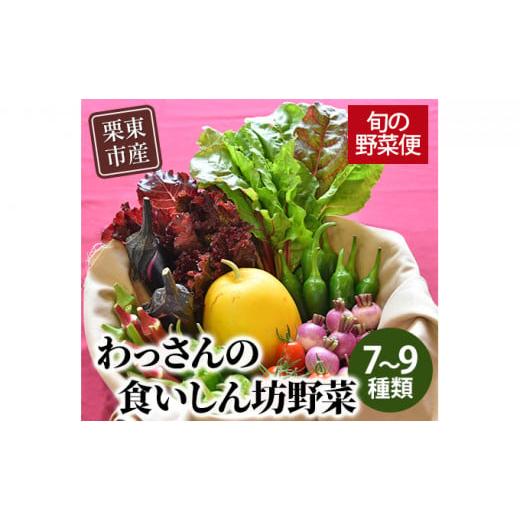 ふるさと納税 滋賀県 栗東市 和らぎ農法　わっさんの食いしん坊野菜　栗東市産　旬の野菜便