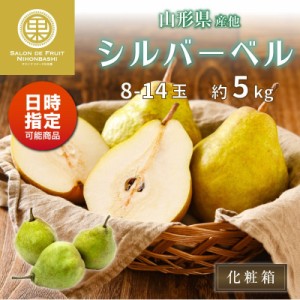 [予約 2023年11月1日-11月30日の納品] 洋梨 シルバーベル 約5kg 8玉-14玉 山形県産 他 秋ギフト ラフランス 梨 果実専用箱 冬ギフト お歳