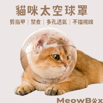 MEOWBOX. 貓咪太空頭罩 台北出貨 防舔防咬頭套 貓咪頭罩 伊莉莎白圈 貓頭套 貓咪頭套 防舔圈 絕育頭套 貓頭套