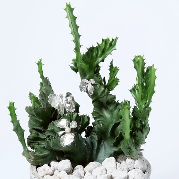 【鉐葉】芹葉福祿桐葉 雙層純銀耳環