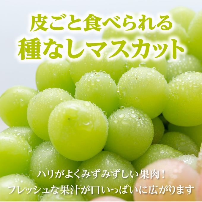 ぶどう 2024年 先行予約 ご家庭用 シャイン マスカット 晴王 優品 2房入り（1房 530g以上 露地栽培） ブドウ 葡萄  岡山県産 国産 フルーツ 果物