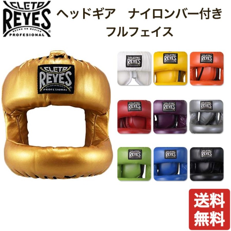 レイジェス(reyes) ヘッドギア ナイロンバー付き・フルフェイス E387