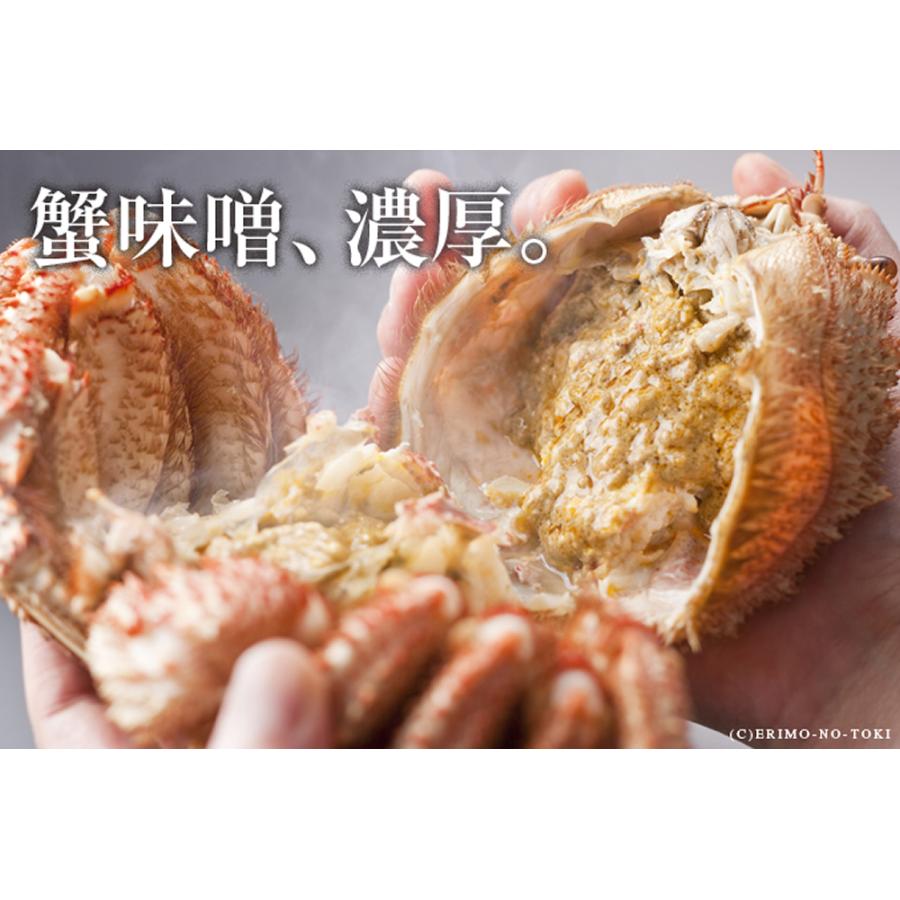 えりも食品 活蒸し毛蟹 大サイズ 1尾 計500g 送料無料 蟹 毛蟹 カニ かに 毛ガニ 脚 剥き身 蟹みそ 蟹味噌 北海道 産地直送 お取り寄せ お祝い 贈答 ギフト