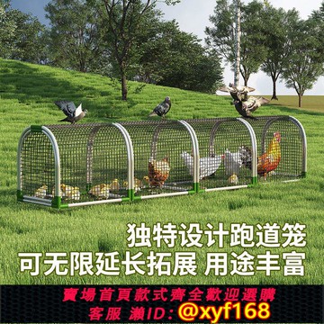 {可打統編 保固一年}走地雞籠隧道戶外養雞跑道萌寵雞鐵絲溜達雞籠大號雞鴨鵝養殖棚