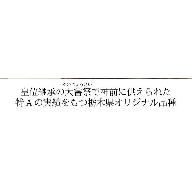 お米 10kg 米 とちぎの星 令和5年 栃木県産 業務用米 まとめ買い 新米