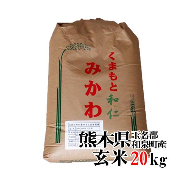 熊本県産 掛け干し自然乾燥  玄米 20kg