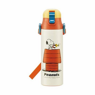 スケーター スポーツボトル 直飲み 水筒 ポケモン ポケットモンスター 21 580mlsdc6n 通販 Lineポイント最大get Lineショッピング
