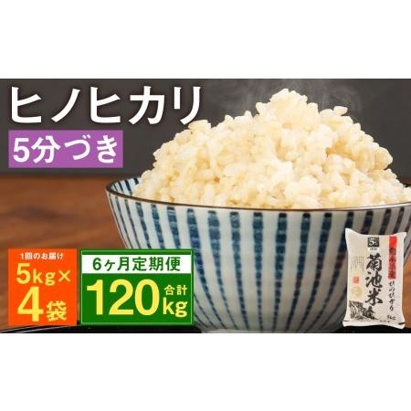 ふるさと納税 熊本県菊池産 ヒノヒカリ 5kg×4袋×6回 計120kg 5分づき米 お米 分づき米  熊本県菊池市