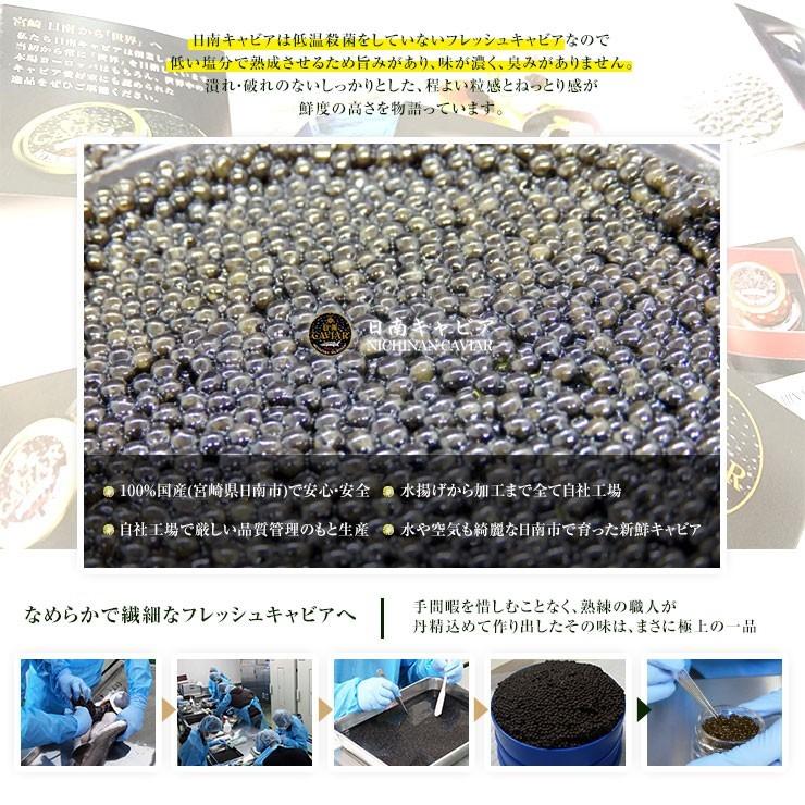 宮崎県産 国産 フレッシュキャビア 生キャビア 日南キャビア(きゃびあ) 5g×4 冷凍 魚卵 最高級 防腐剤不使用 非加熱 世界三大珍味 低塩分