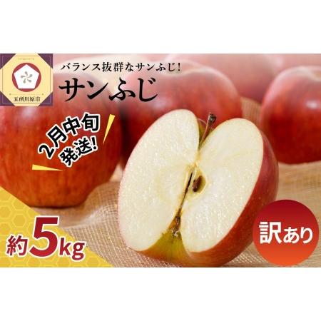 ふるさと納税 りんご　 りんご サンふじ 5kg 青森 青森県五所川原市