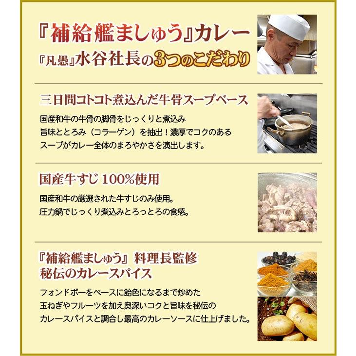 海上自衛隊『補給艦ましゅう』のとろとろ牛すじカレー レトルト 200g×3食入り×2箱  6食入り