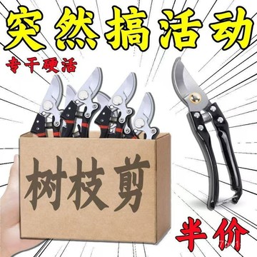 ⚡臺灣爆品⚡特快德國工藝園藝剪花枝剪省力強力粗枝剪樹枝專用剪子園林修枝剪 NRE6