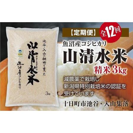 ふるさと納税  精米3kg　新潟県魚沼産コシヒカリ「山清水米」 新潟県十日町市