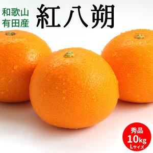 ふるさと納税 U6226n_紅八朔 秀品 約10kg Lサイズ 和歌山県有田産 和歌山県湯浅町