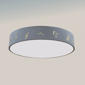 62W四段變光吸頂燈 B69-81-24664