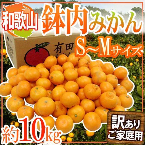 みかん 和歌山・有田産 ”鉢内みかん” 訳あり S〜Mサイズ 約10kg はちうちみかん 送料無料