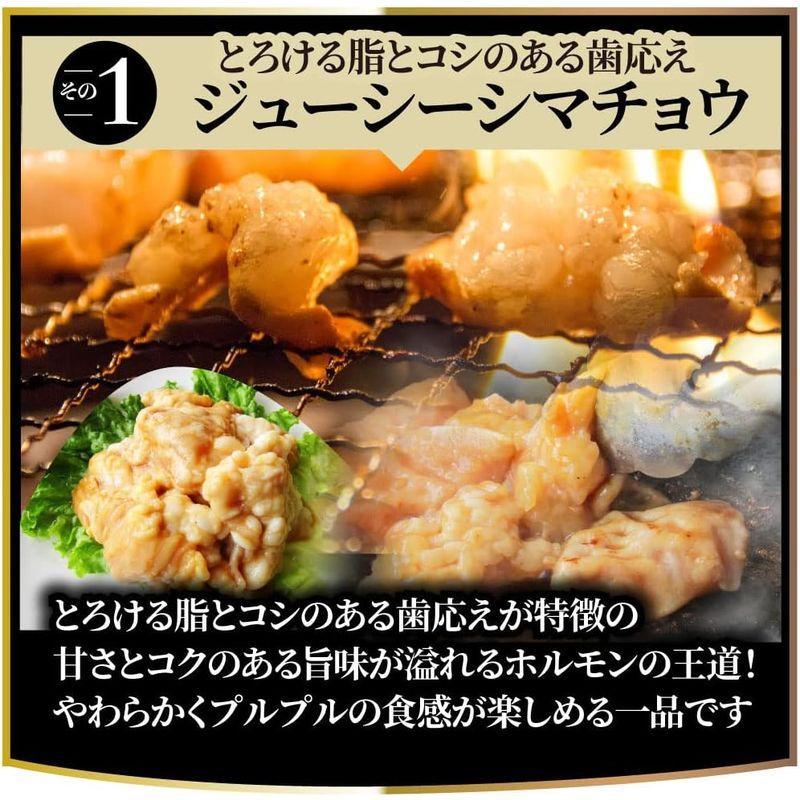 3種のとろける 極み ホルモンミックス焼肉 10kg（250g×40）