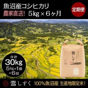 ふるさと納税 定期便！魚沼産コシヒカリ毎月5kg×6回 新潟県十日町市