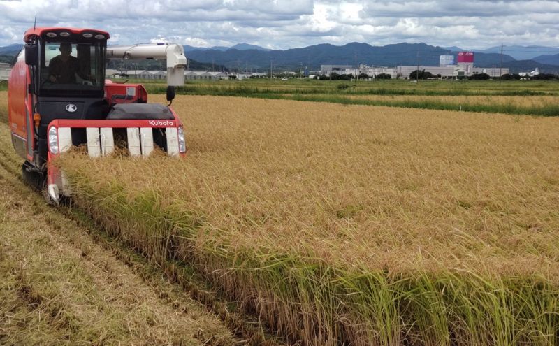 金賞受賞の農園がお届けするコシヒカリ10kg（3か月定期便）