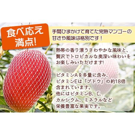 ふるさと納税 予約受付！数量限定！＜宮崎県産 完熟マンゴー A等級 2Lサイズ×2玉（合計約700g）＞2024年4月下旬〜6月末迄に.. 宮崎県国富町