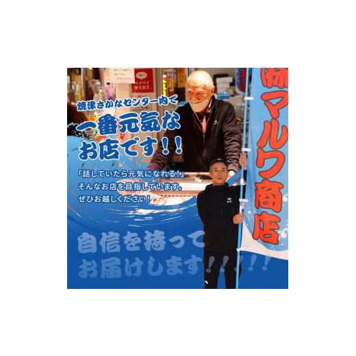 ふるさと納税 静岡県 焼津市 a10-698　解かすだけ！ サーモン 漬け 640g（80g×8パック）