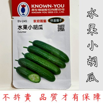 【隔日配-免運】水果小胡瓜種子 小胡瓜種子 小黃瓜種子 蔬菜種子 園藝 植栽 盆栽 高發芽率