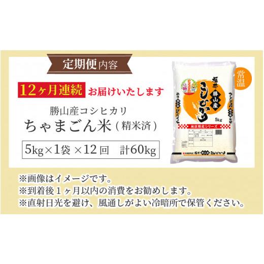 ふるさと納税 福井県 勝山市 『定期便』 令和5年産 新米 勝山のお米コシヒカリ5kg 全12回 [J-010020]