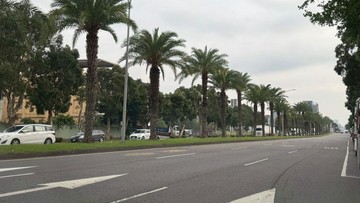 林口文化北路中湖段農地、近工一、艾司摩爾｜新北市林口區中湖段