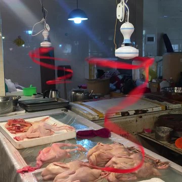 赶苍蝇驱蚊风扇 熟食店专用小吊扇 厨房驱蚊健康环保无伤害220伏