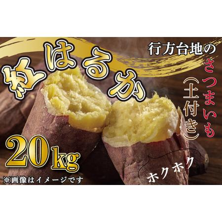 ふるさと納税 CU-168  無選別 行方台地のさつまいも 紅はるか20kg 茨城県行方市