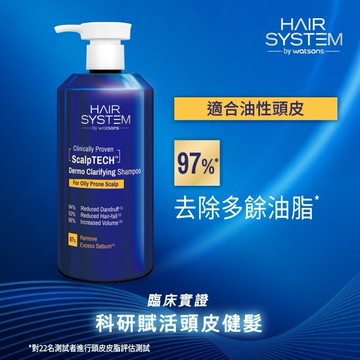 Hair System 淨化控油洗髮露(油性頭皮適用)500ml