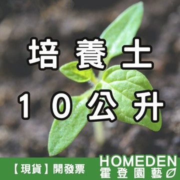 【隔日到貨】培養土 10L 公升 專業栽培土 觀葉介質 室內植物土 觀葉土 蔬菜育苗土 播種土【HOMEDEN霍登園藝】