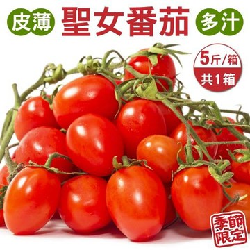 果農直配-台灣聖女番茄(5斤/箱)