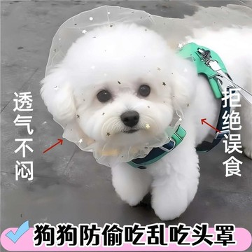 🔥臺灣出🔥防偷吃亂吃白色網紗狗狗頭套小型犬泰迪比熊防咬防誤食麪罩3-10斤