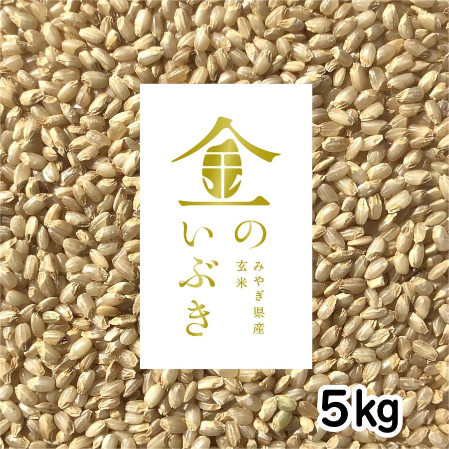 金のいぶき 玄米 5kg 令和4年産 玄米ダイエット 玄米食専用米 宮城県