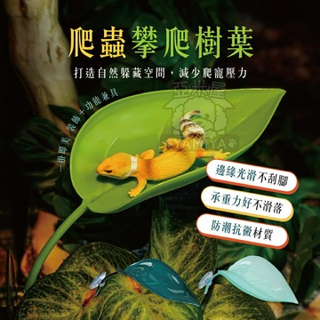 爬蟲攀爬樹葉 爬寵仿真造景 仿真躲避洞穴 仿真植物 守宮 蜥蜴 模擬樹葉 躲避物 仿真 植物 棲地【亞米屋Yamiya】