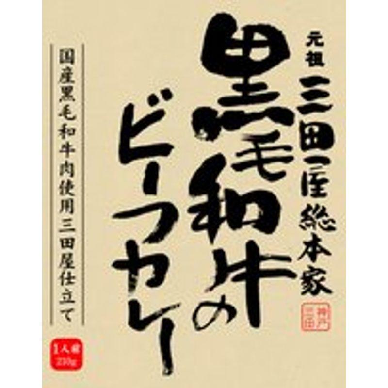 三田屋総本家 黒毛和牛のビーフカレー 210ｇ×20個